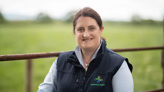 A helping hand when trauma hits: Embrace Farm’s support Image