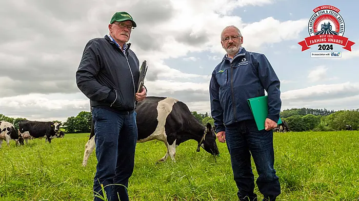 Championing West Cork milk quality Image