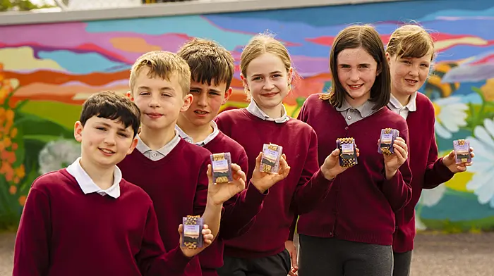 Lisheen’s young entrepreneurs clean up with award-winning soap business Image