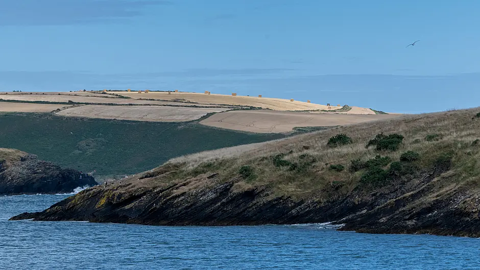 Lifeboat called for swimmers near Kinsale Image