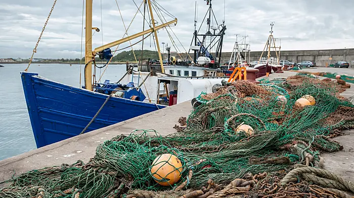 ‘We met Packie Bonner, and he said “Where are all the boats gone?”’ Image