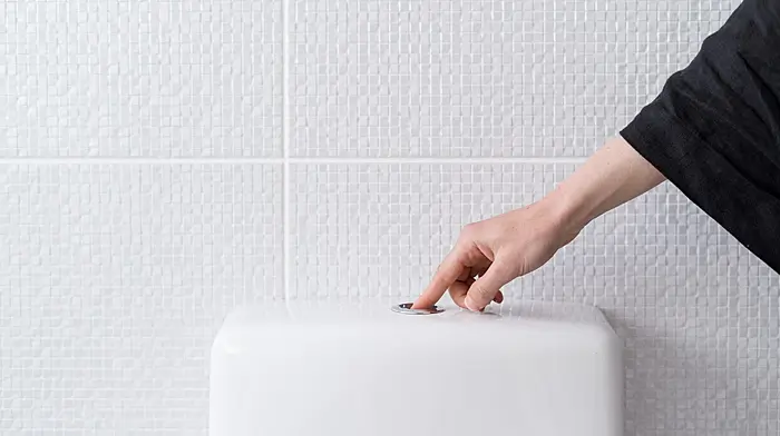 Bid to get public to think before a flush Image