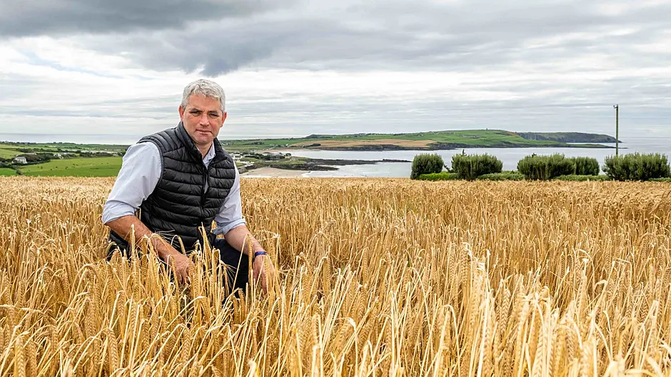Lombard: Make road toll-free for hurling final Image