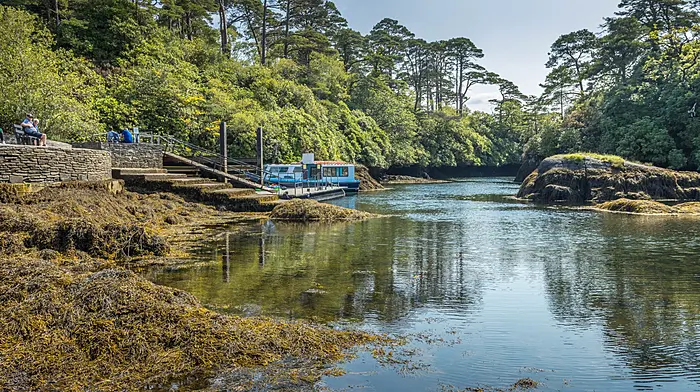 Glengarriff pontoon to be installed in November Image
