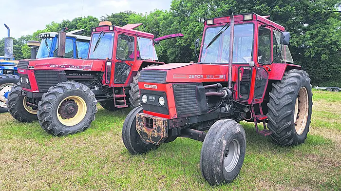 Zetor’s Crystal clearly punched above weight Image
