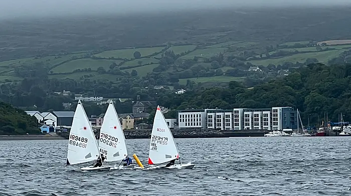 ILCA laser sprint series in Bantry Image