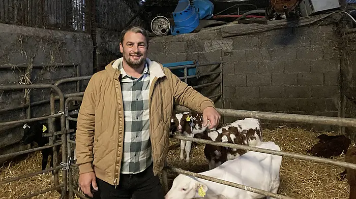 Back to the future: Korean Natural Farming explores a different path for the sector Image
