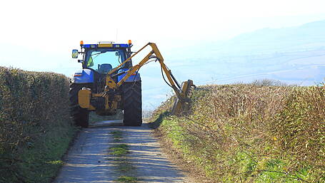 Social Democrats' fears over hedge cutting Image