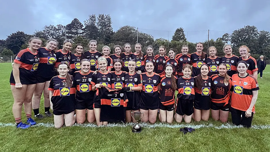 Ilen Rovers, St Colum's and Rossas win West Cork titles Image