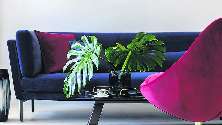 Create a cohesive look through colour Image