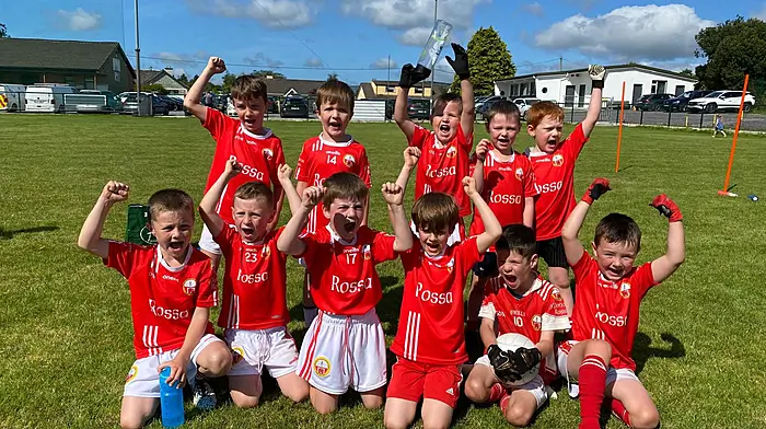 The O’Donovan Rossa U7 footballers who played a blitz in Dunmanway recently were (back, from left) Adam Sweetnam, Tommy Haigh, Cian O’Mahony, Charlie O’Neill and Michael Walsh. Front (from left) Zac Collins, Cayden O’Donovan, Leon Croston, Barra O’Mahony, Luca McCarthy and Seanie O’Neill.