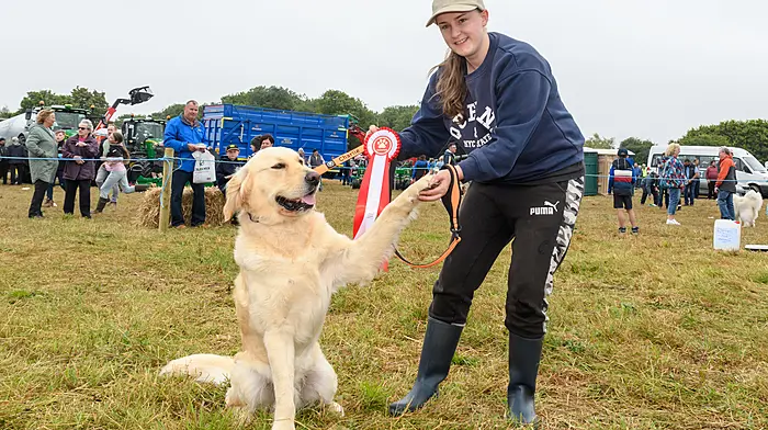 Shelly Tobin with 'Charlie' who won the Champion prize at the dog show at the Ahiohill Vintage Club Harvest Working Day in Enniskeane on the lands of Niall and Walter Helen. Proceeds will go to ARC Cancer Support, West Cork Underwater Search & Rescue, Kilcolman National School and local charities. Also there were, right, Gareth Gault, founder and director of Grassmen, with Danny Lynch from Ballyvourney.  (Photos: David Patterson)