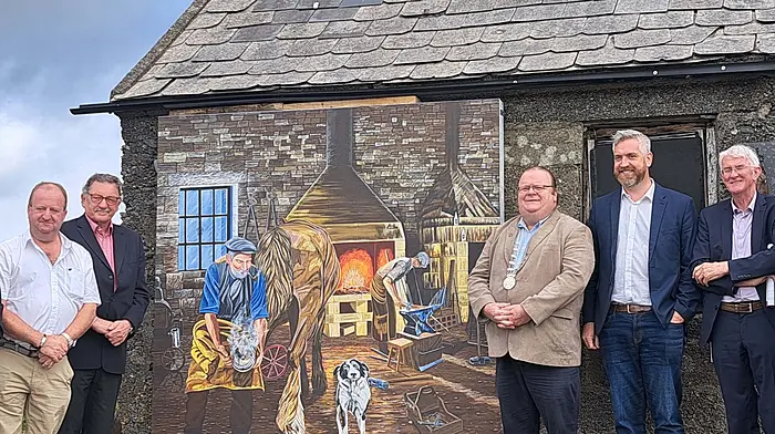 Cllr Caroline Cronin, Michael Collins TD, Terry Ó Niadh (judge), Cllr Danny Collins, Christopher O'Sullivan TD, Tom Dowling (judge) and Senator Tim Lombard at the unveiling of a mural at the Old Forge on the judging day for the Pride of Place awards.