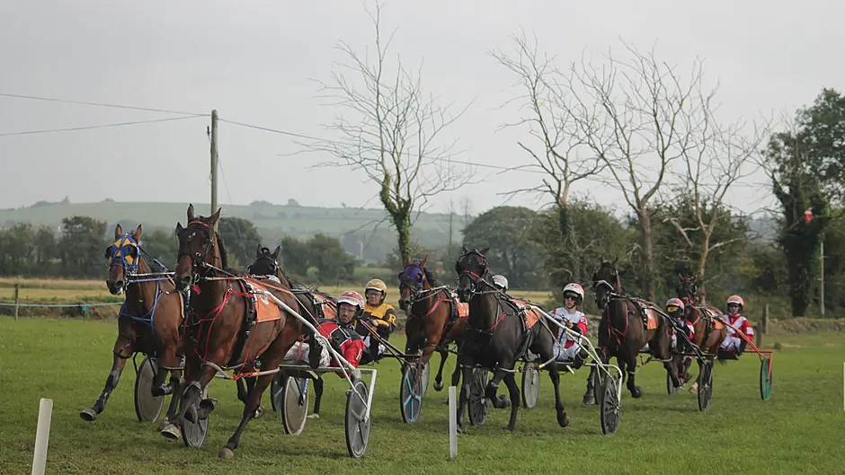 Immortal John races to Red John Memorial success Image