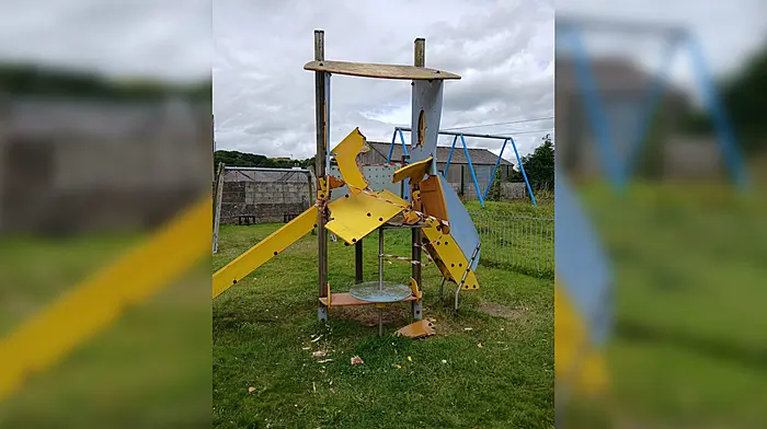 Trail of mindless vandalism shocks Ballineen community Image
