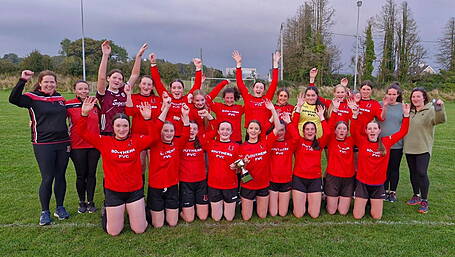 Dominant Drinagh Rangers crowned U16 champions Image