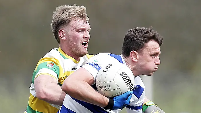 Collins: Castlehaven want to build momentum for the business end Image