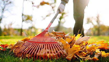 Make your garden look good for the autumn Image
