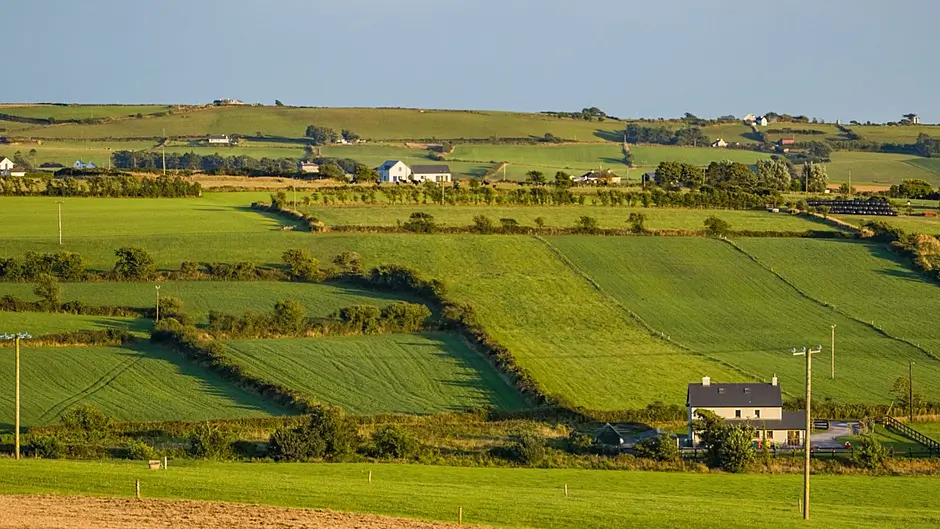 Acres delays putting West Cork farmers ‘under enormous stress’ Image