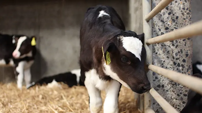 Enniskeane Calfcare Roadshow event not taking place Image
