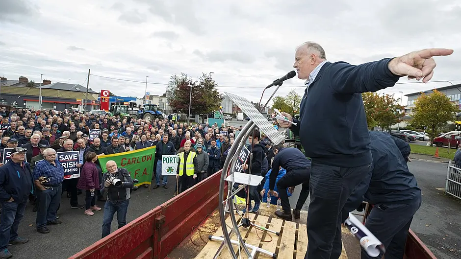 Pointing to a brighter future after Irish farming's annus horribilis Image