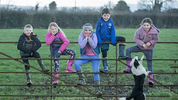 Wellies at the ready for Embrace Image