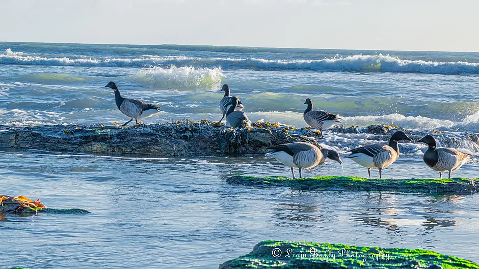 Reader's Picture of the Week Image