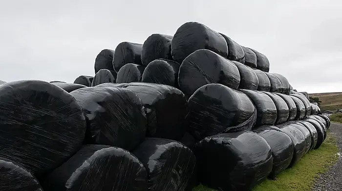 ‘Farmers pay levy on plastics to find it is being stacked 90ft high’ Image