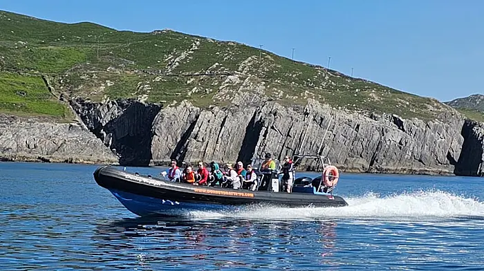 Dursey Boat Trips – the West Cork Wild Atlantic Way Tourism Business for 2023 Image