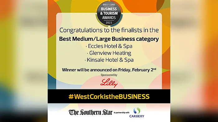 Meet the Best Medium/Large Business finalists – West Cork Business & Tourism Awards 2023 Image