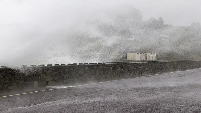 Happiest talking rain, hail or shine! Image