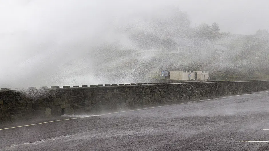 Happiest talking rain, hail or shine! Image
