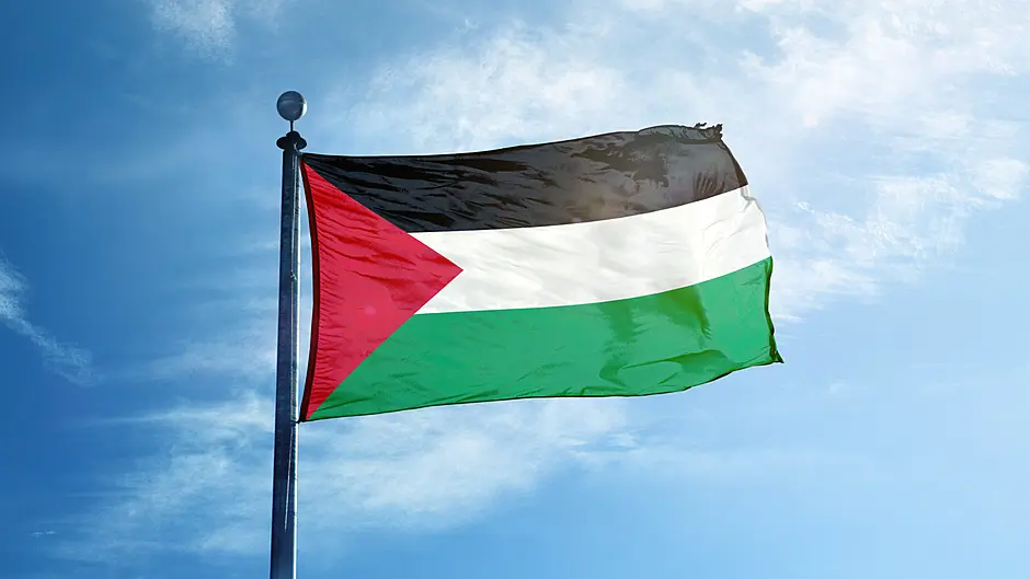 Palestinian flag for county hall Image