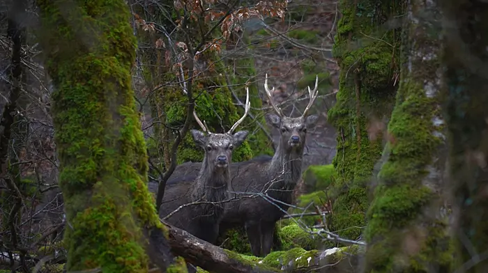 Reader's Picture of the Week Image