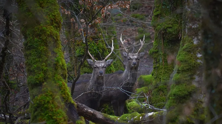 Reader's Picture of the Week Image