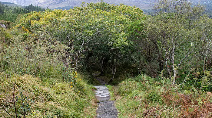 Projects get biodiversity funding boost Image