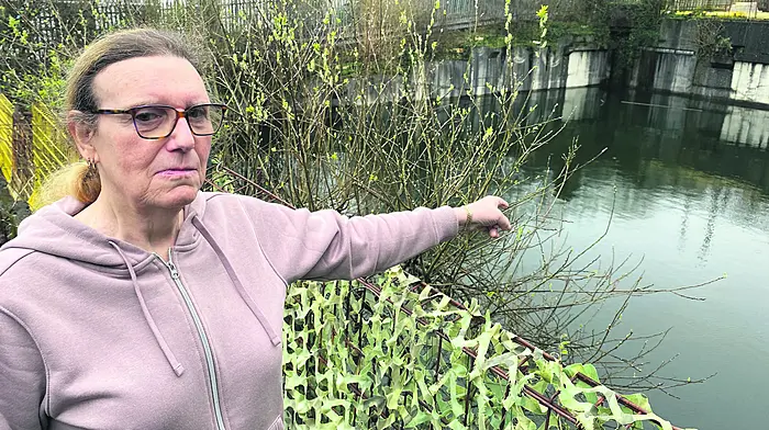 Stagnant water in pit worrying elderly residents Image