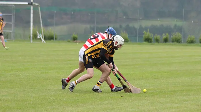 Kilbrittain team is lining out in both Carbery and Carrigdhoun junior hurling leagues Image