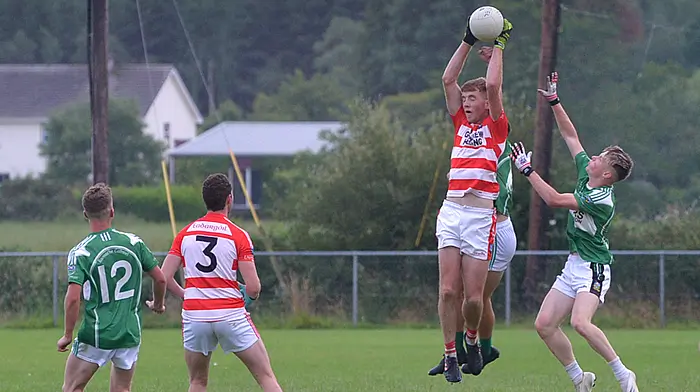 Adrigole target league promotion as next next step in their development Image