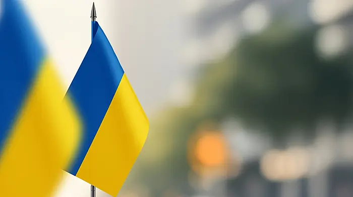 Irish Red Cross calls to extend housing support for Ukrainians in Ireland Image