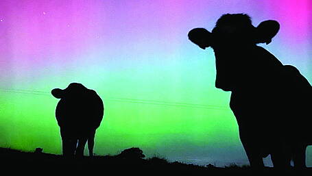 Reader's Picture of the Week Image