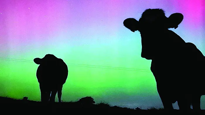 Reader's Picture of the Week Image
