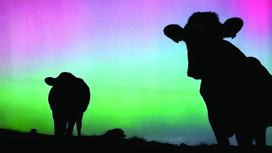 Reader's Picture of the Week Image