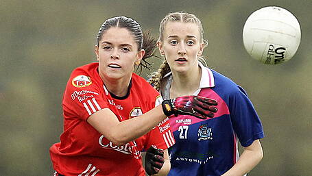 Rossas ready to rock in Munster clash Image