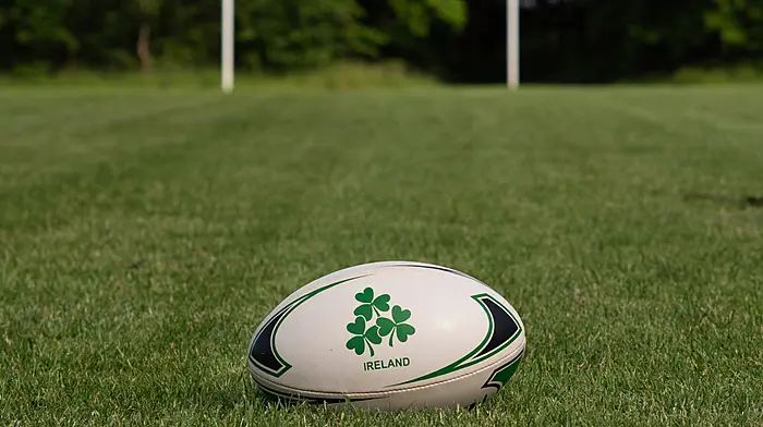 Brave Kinsale fall short in Munster senior cup Image