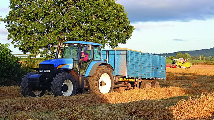 FARM CLASSICS TM175 a powerful performer despite reliability issues Image