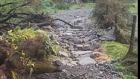 Farmers want compensation for flood damage Image