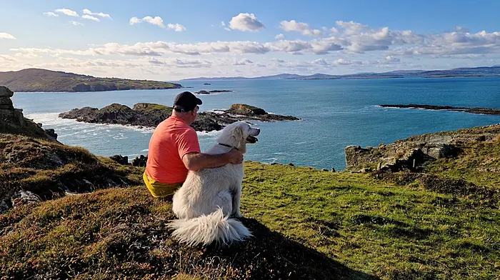 Garry Minihane took a photo of Pierce and Bruno enjoying the autumn sunshine on Sherkin Island looking towards Mizen and Cape Clear.