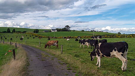 Stalwarts of local IFA recognised in Adare Image