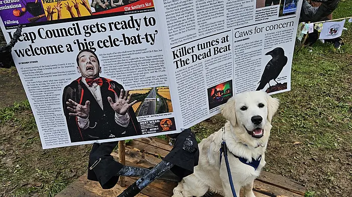 Seamie from Leap reading The Southern Star at the Leap Scarecrow Festival.